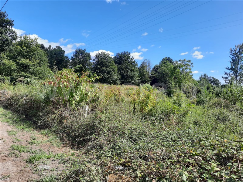 Terreno  Fafe, Arões (São Romão) - 1356507 - 7