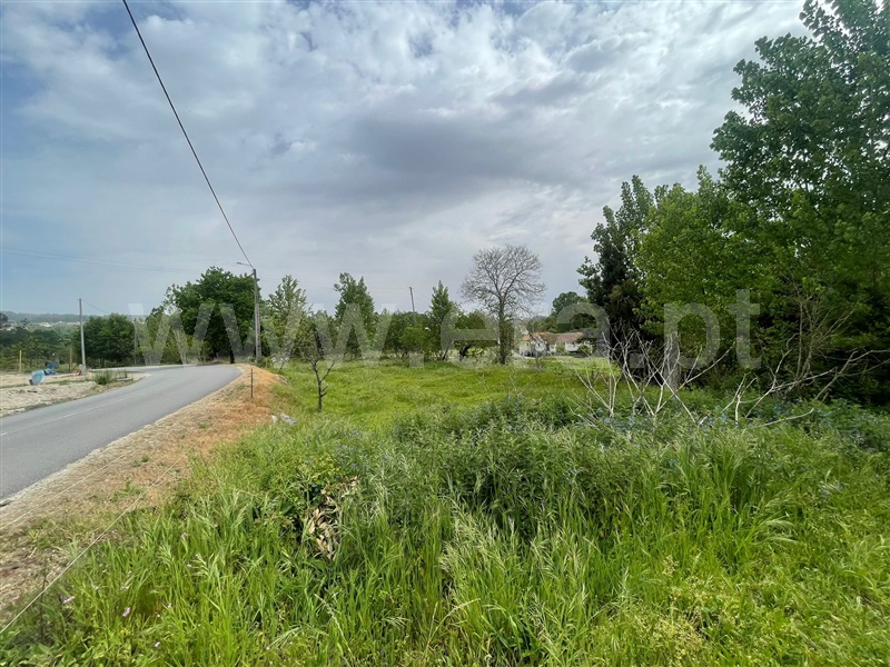Terreno / Fafe, Cepães e Fareja