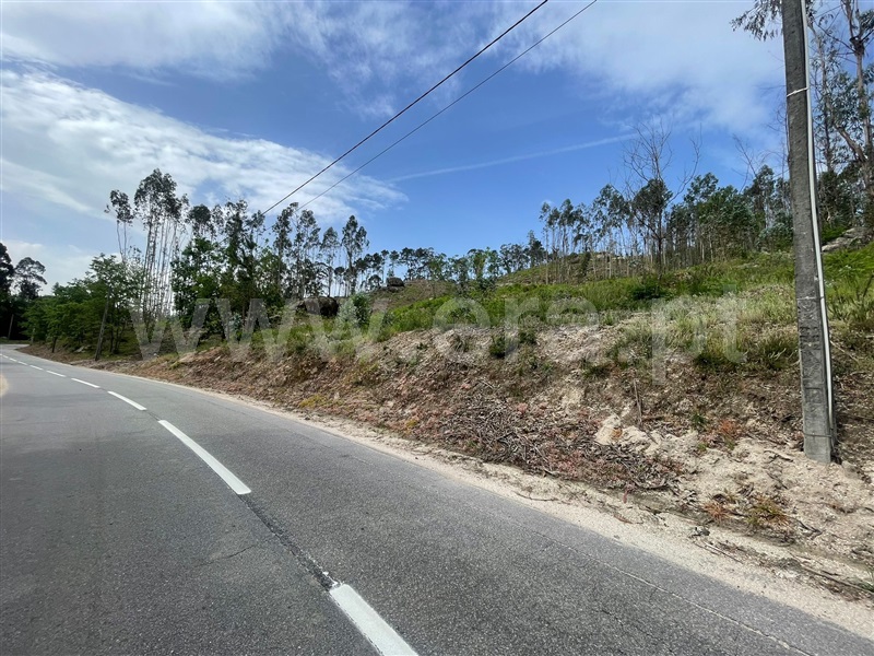 Terreno / Fafe, Cepães e Fareja