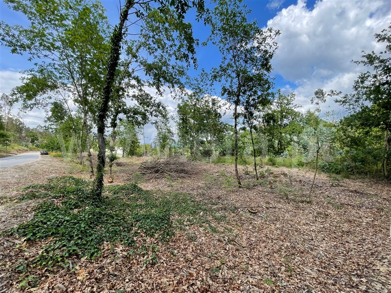 Terreno / Fafe, Cepães e Fareja