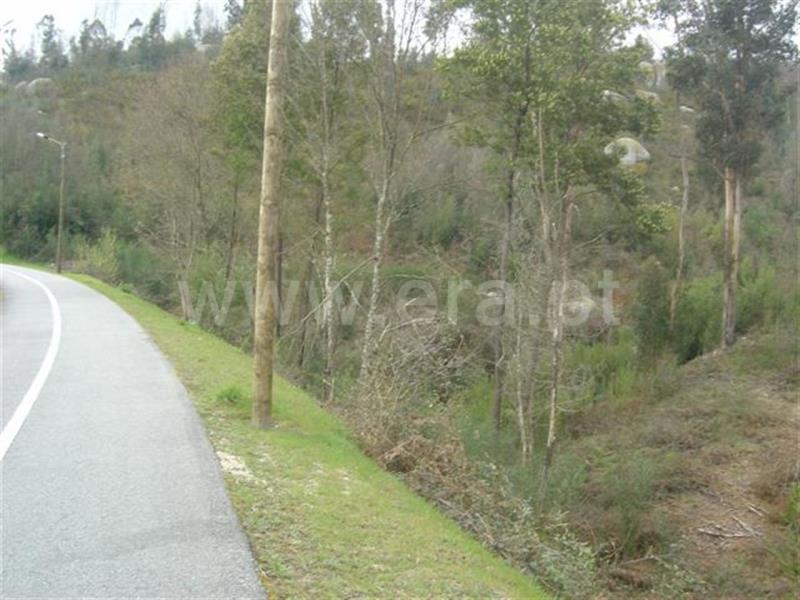 Terreno / Fafe, Cepães e Fareja