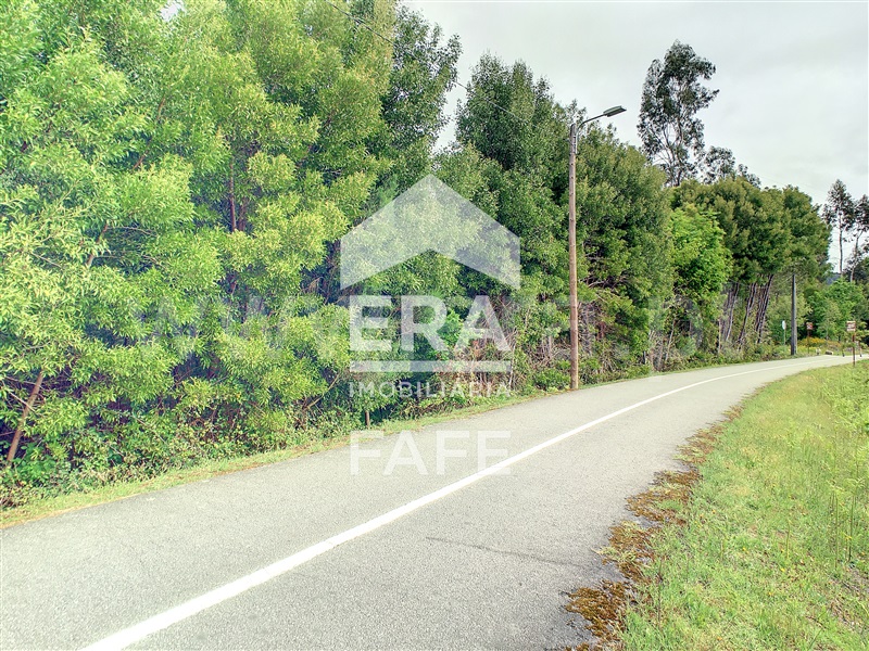 Terreno  Fafe, Cepães e Fareja - 702193 - 5