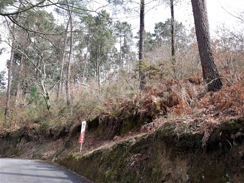 Terreno  Fafe, Cepães e Fareja - 816080 - 3