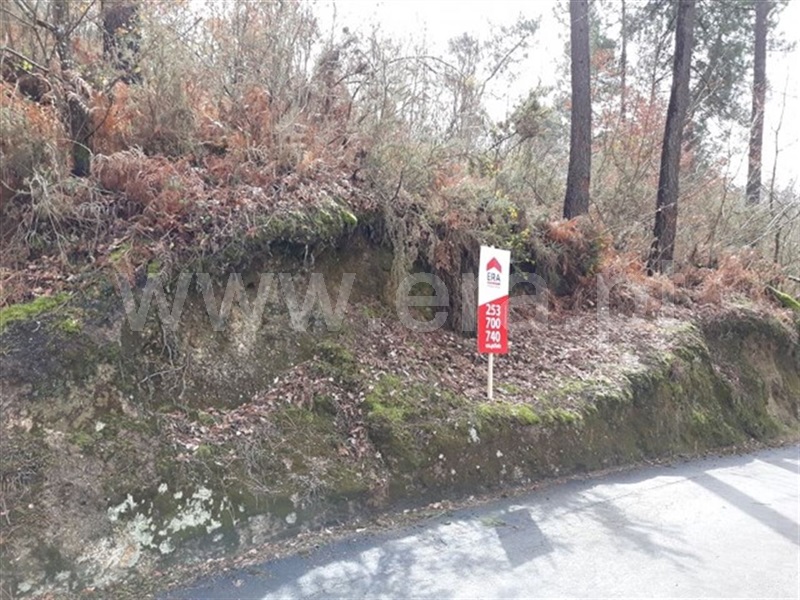 Terreno / Fafe, Cepães e Fareja