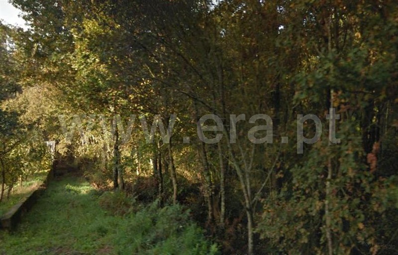 Terreno / Fafe, Cepães e Fareja