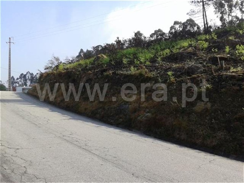 Terreno  Fafe, Cepães e Fareja - 889935 - 3