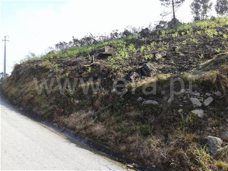 Terreno / Fafe, Cepães e Fareja