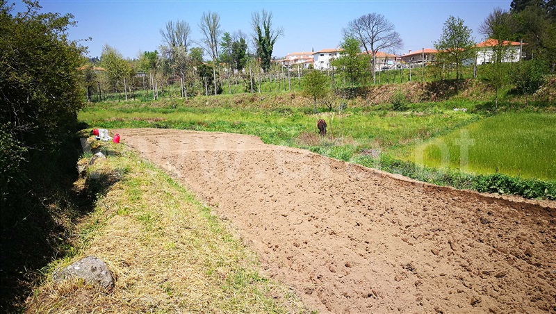 Terreno  Fafe, Estorãos - 1037927 - 5