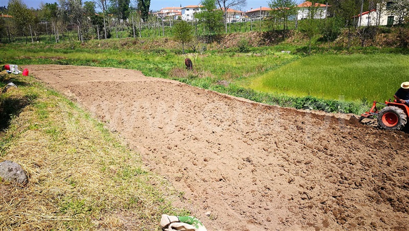 Terreno  Fafe, Estorãos - 1037927 - 7