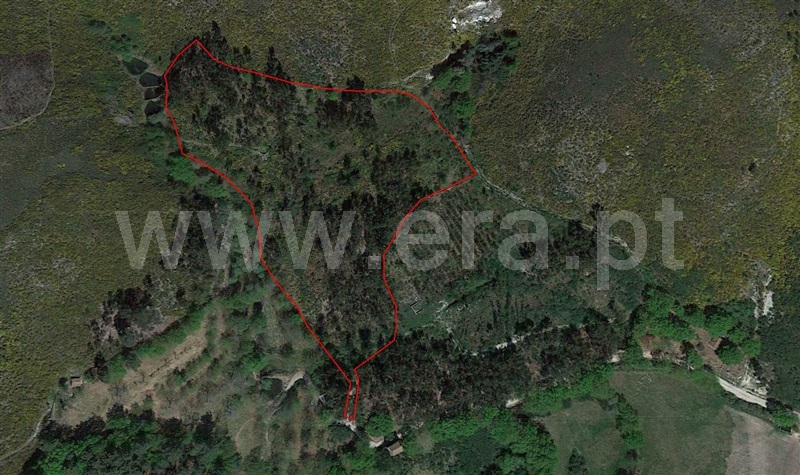 Terreno  Fafe, Estorãos - 1178276 - 9