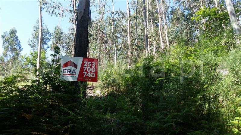 Terreno / Fafe, Estorãos