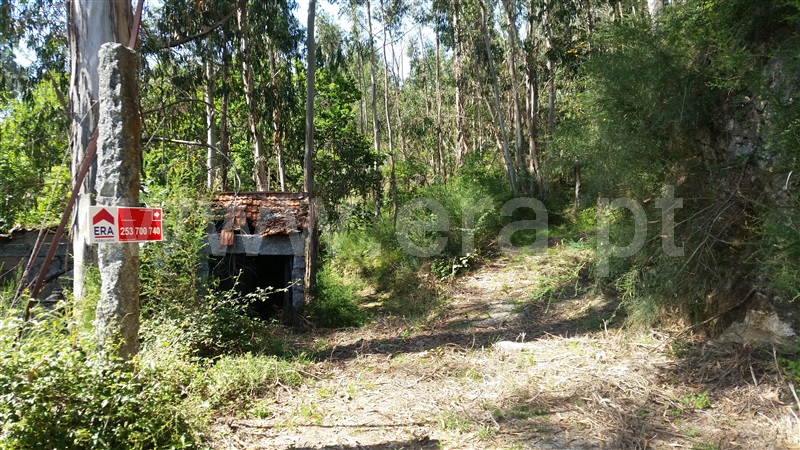 Terreno  Fafe, Estorãos - 1178276 - 3