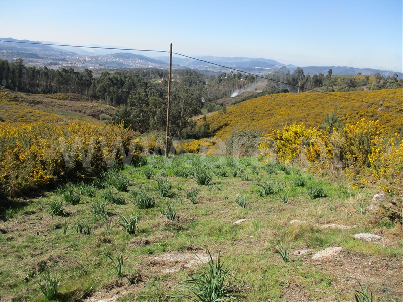 Terreno / Fafe, Estorãos