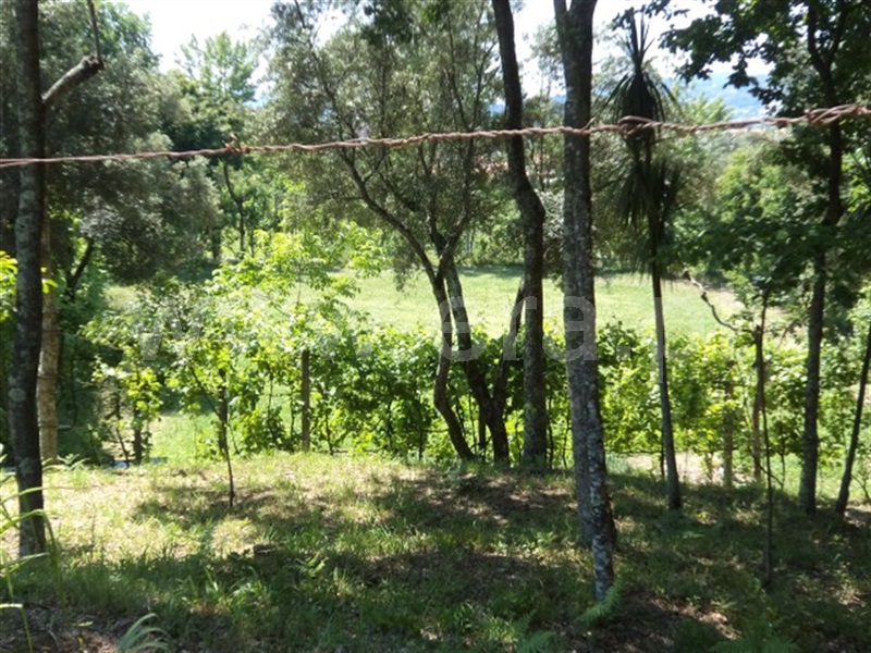 Terreno  Fafe, Estorãos - 995433 - 2