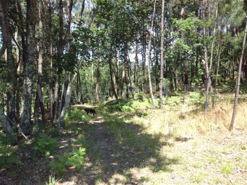 Terreno  Fafe, Estorãos - 995433 - 3