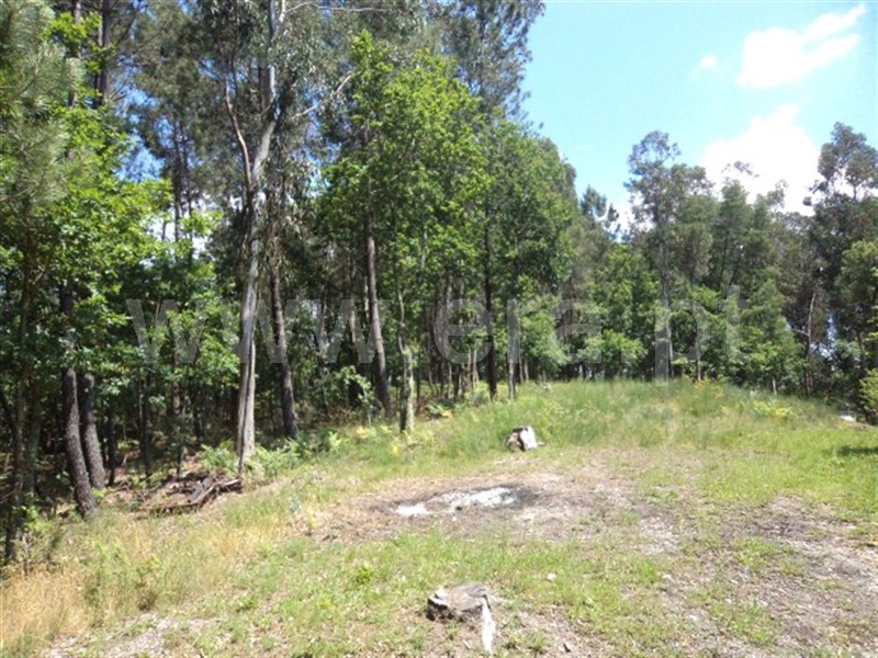 Terreno  Fafe, Estorãos - 995433 - 4