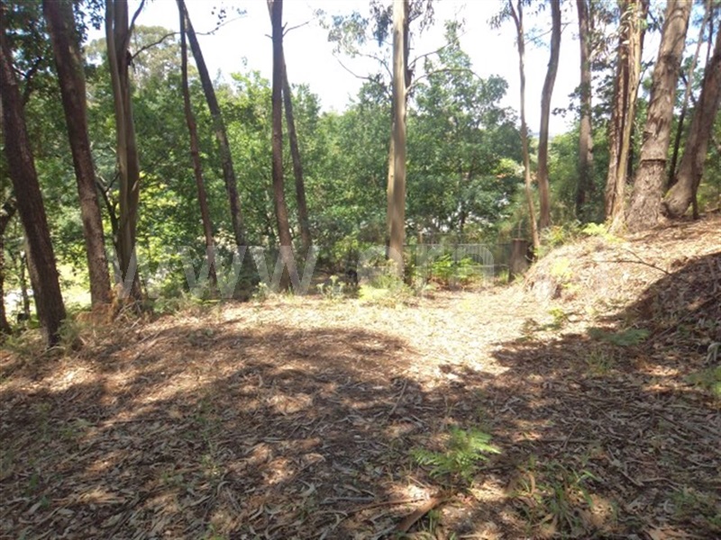 Terreno  Fafe, Estorãos - 995433 - 5