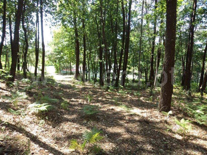 Terreno  Fafe, Estorãos - 995433 - 6