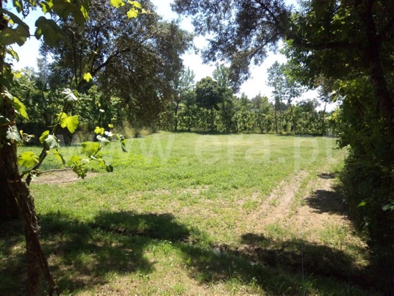 Terreno  Fafe, Estorãos - 995433 - 8