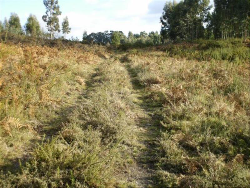 Terreno / Fafe, Fafe
