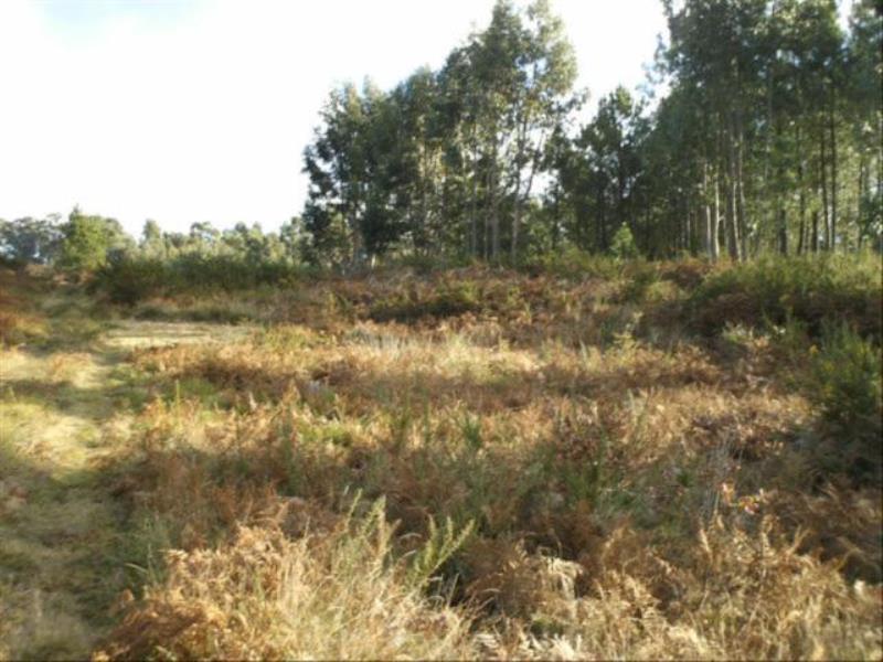 Terreno  Fafe, Fafe - 102575 - 4