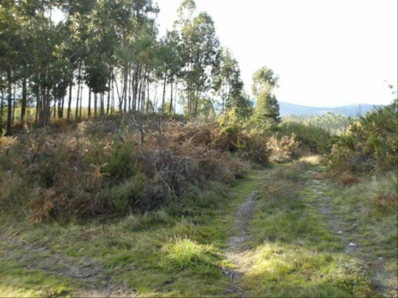Terreno  Fafe, Fafe - 102575 - 6