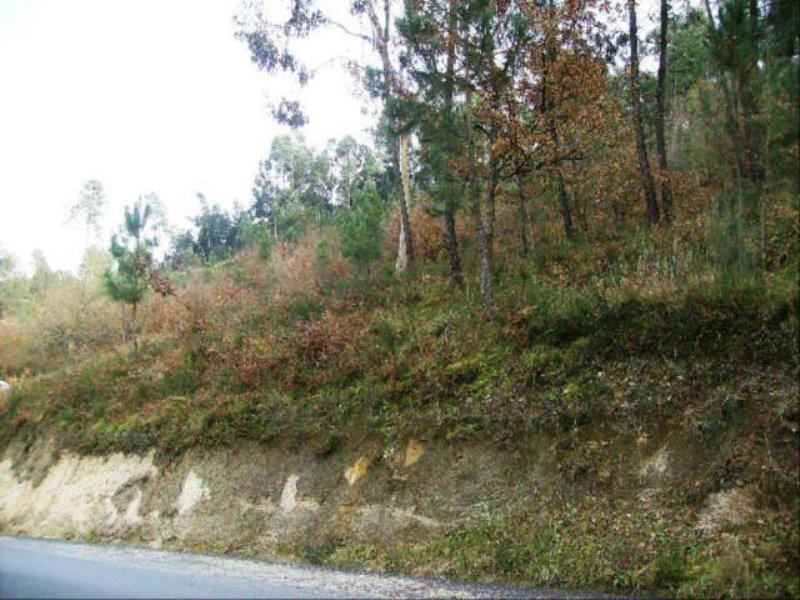 Terreno / Fafe, Fafe