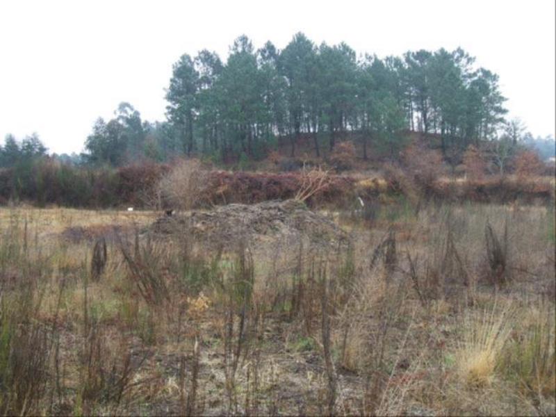 Terreno  Fafe, Fafe - 102648 - 6