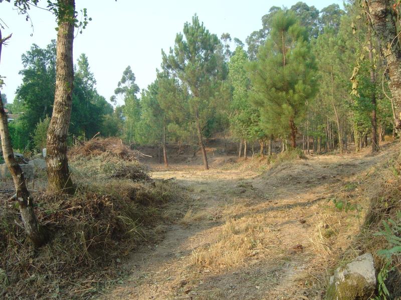 Terreno / Fafe, Fafe