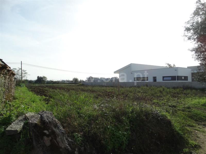 Terreno  Fafe, Fafe - 104318 - 2