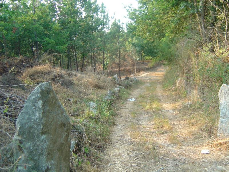 Terreno  Fafe, Fafe - 104318 - 3