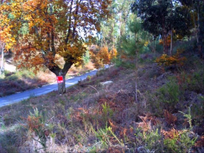 Terreno / Fafe, Fafe