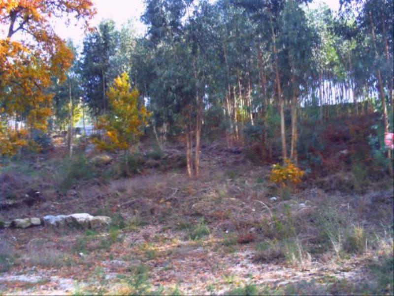Terreno  Fafe, Fafe - 104359 - 3
