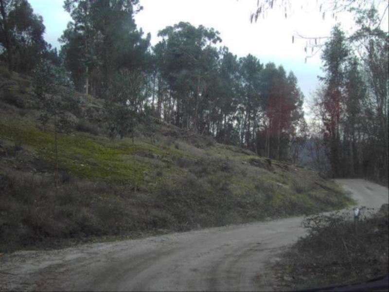 Terreno / Fafe, Fafe