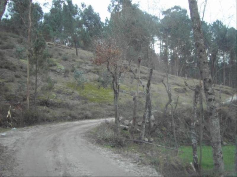 Terreno  Fafe, Fafe - 104422 - 3
