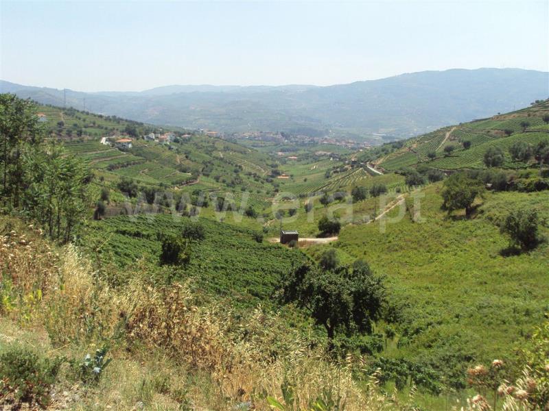 Terreno  Fafe, Fafe - 104422 - 4