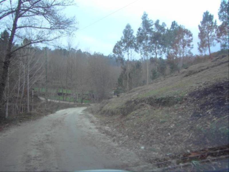 Terreno  Fafe, Fafe - 104422 - 5