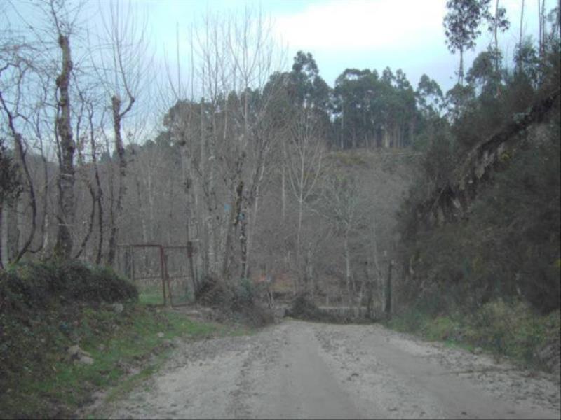 Terreno  Fafe, Fafe - 104422 - 7