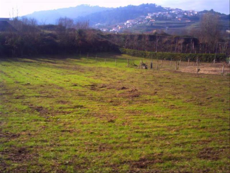 Terreno  Fafe, Fafe - 104427 - 12
