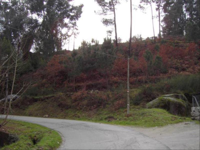 Terreno / Fafe, Fafe