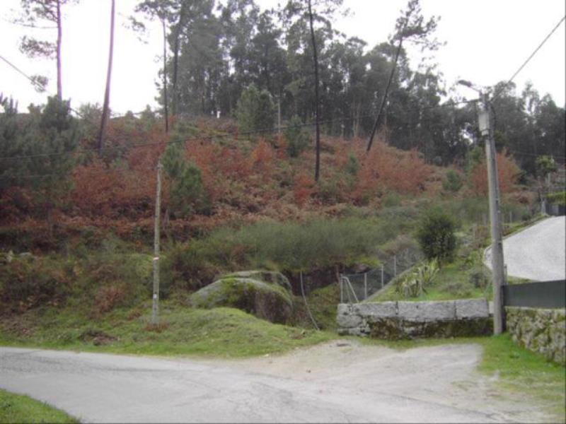 Terreno  Fafe, Fafe - 104435 - 2