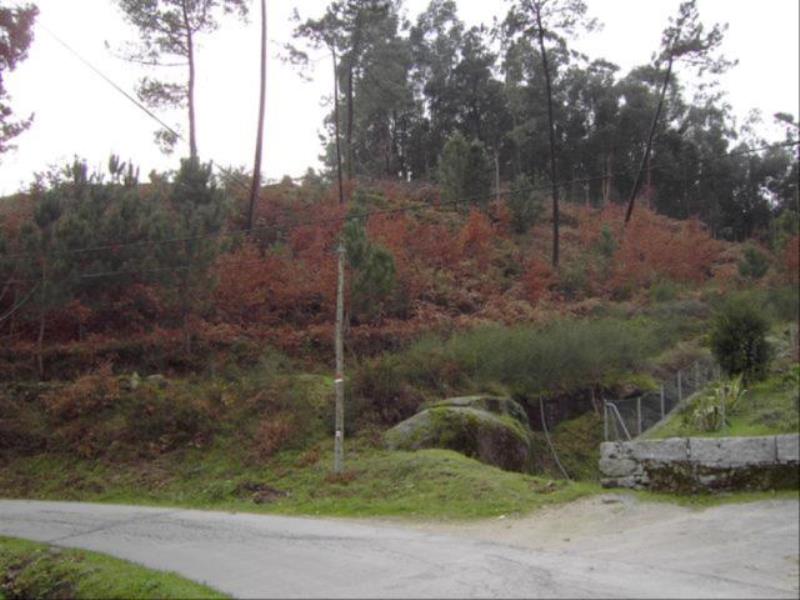 Terreno  Fafe, Fafe - 104435 - 3