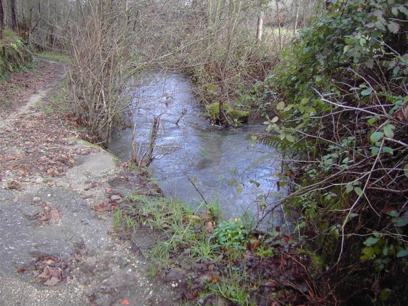 Terreno  Fafe, Fafe - 104485 - 2