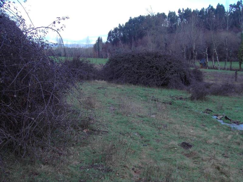 Terreno  Fafe, Fafe - 104485 - 5
