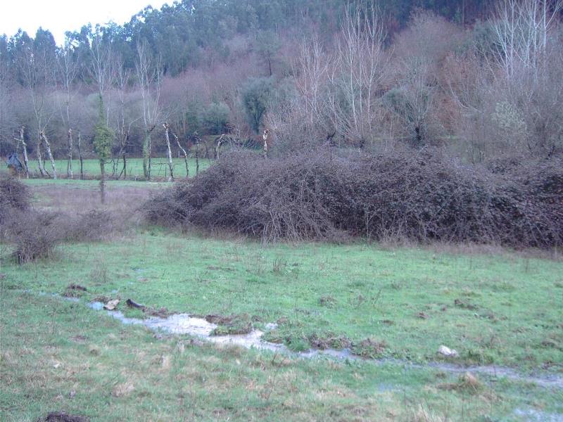 Terreno  Fafe, Fafe - 104485 - 6