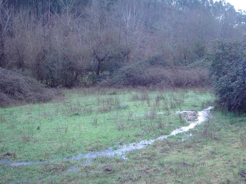 Terreno  Fafe, Fafe - 104485 - 8