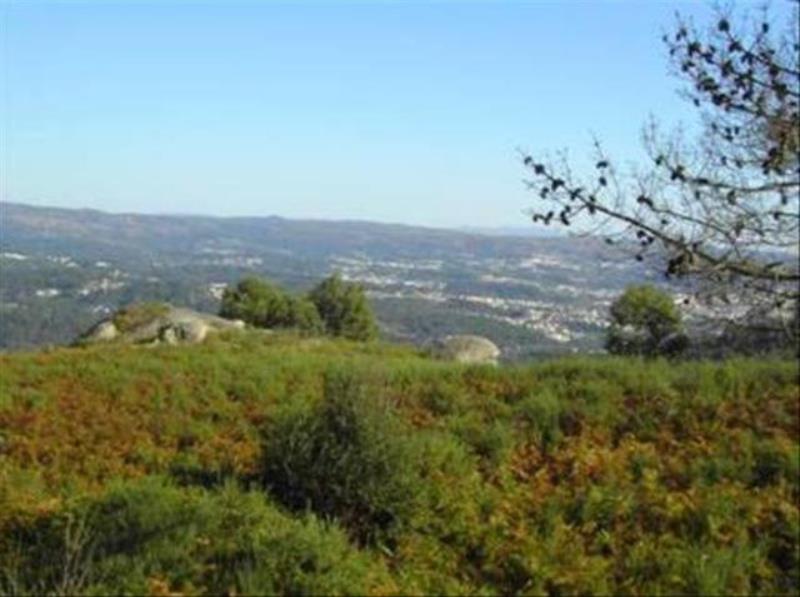 Terreno / Fafe, Fafe