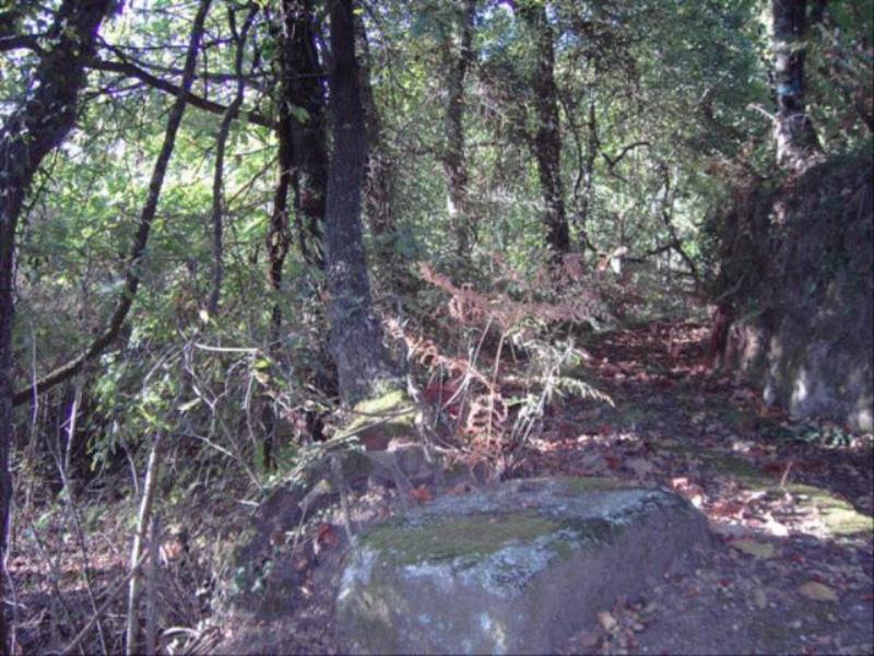 Terreno  Fafe, Fafe - 104991 - 3