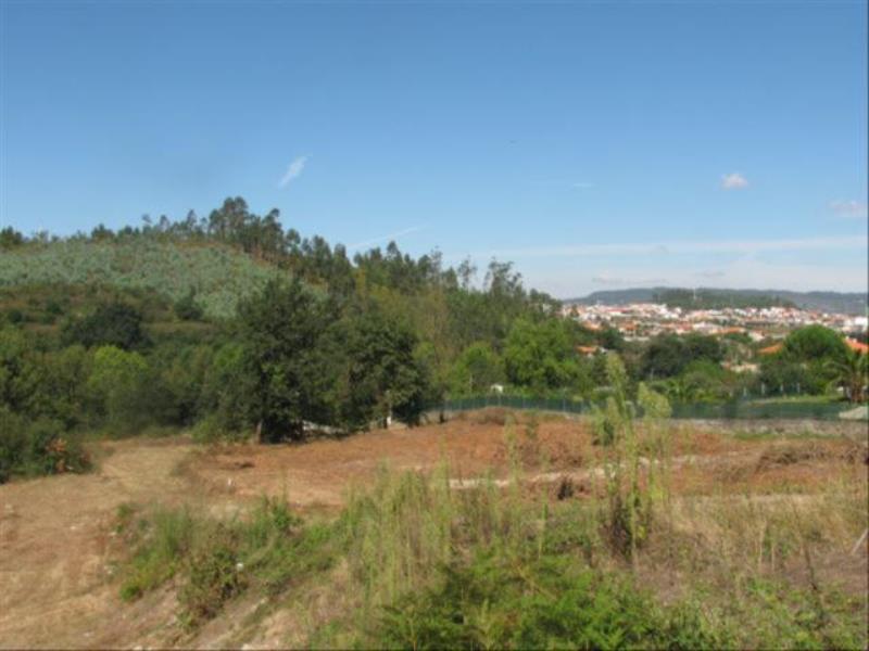 Terreno / Fafe, Fafe