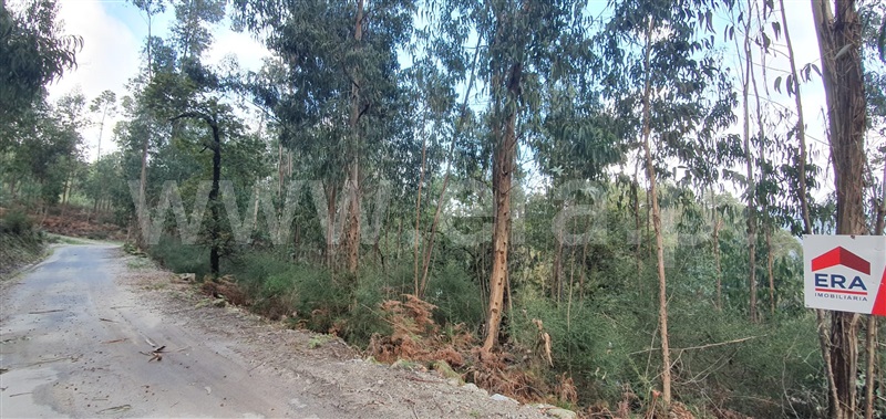 Terreno  Fafe, Fafe - 1050096 - 6